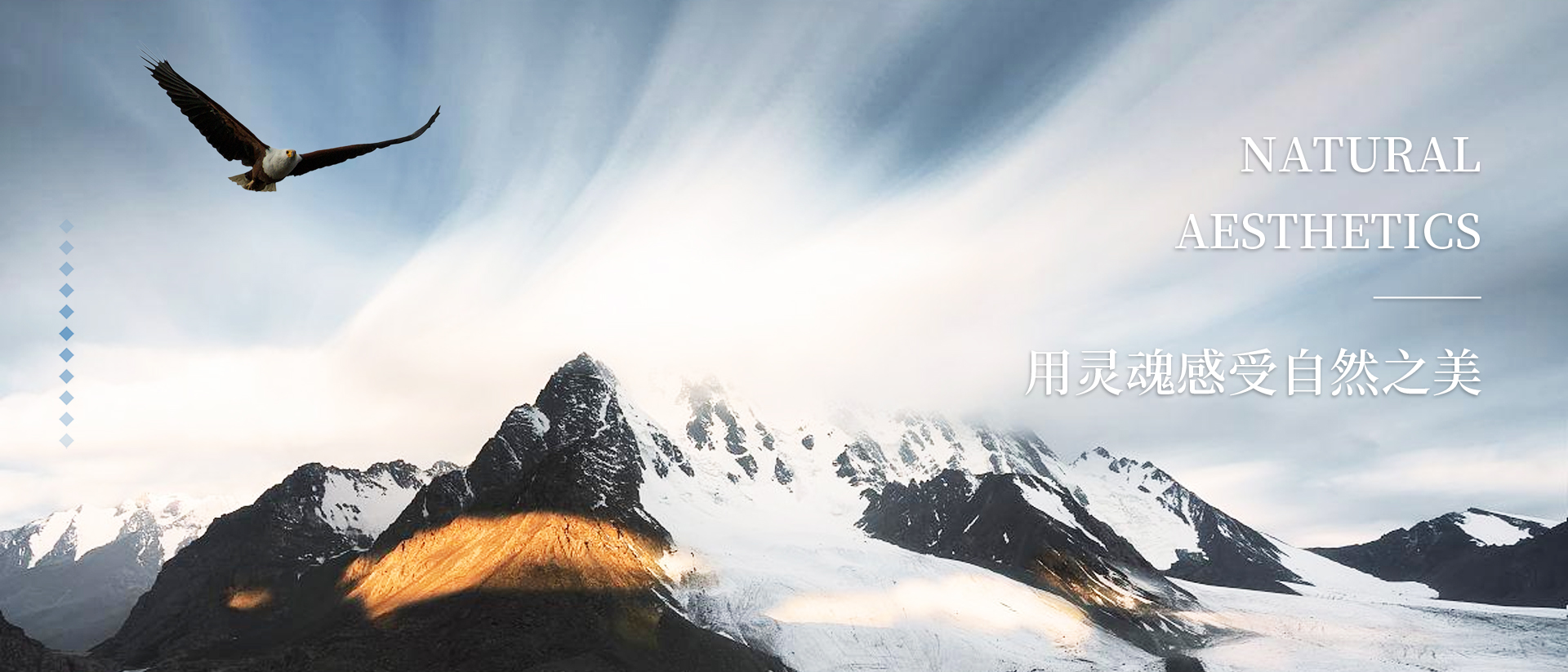 审美红利高研苑