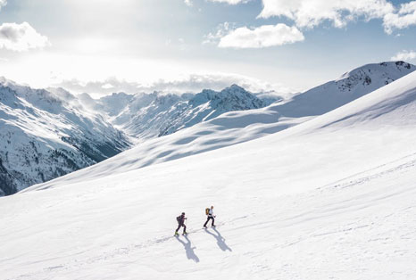 审美红利高研苑